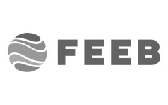 Logos FEEB gris